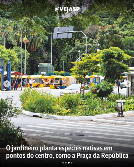 Canteiro verde na Praça da República